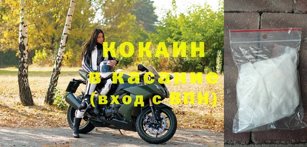 прущие грибы Орск