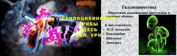 прущие грибы Богданович