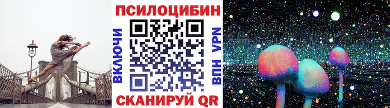 где найти   Благовещенск  Псилоцибиновые грибы Magic Shrooms 