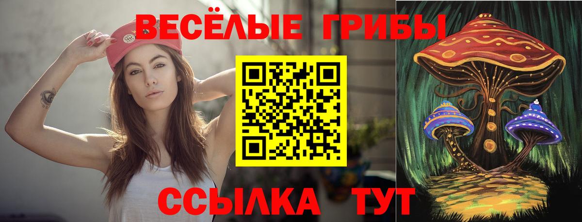 Псилоцибиновые грибы MAGIC MUSHROOMS  магазин  наркотиков  Благовещенск  Вход с VPN 