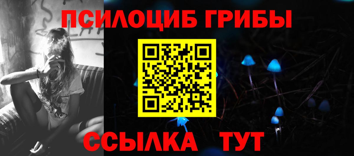 Псилоцибиновые грибы прущие грибы Благовещенск